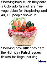 The farm estimated some 600,000 pounds of produce was harvested by 40,000 people in a single day.